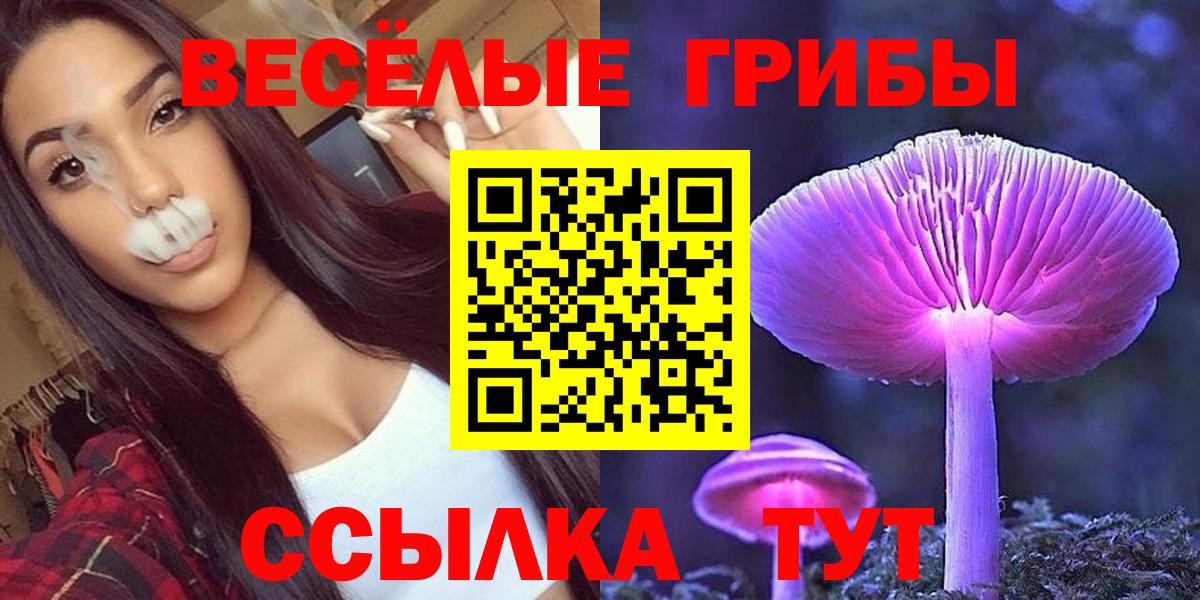Галлюциногенные грибы Psilocybine cubensis  Вход с VPN  Качканар 